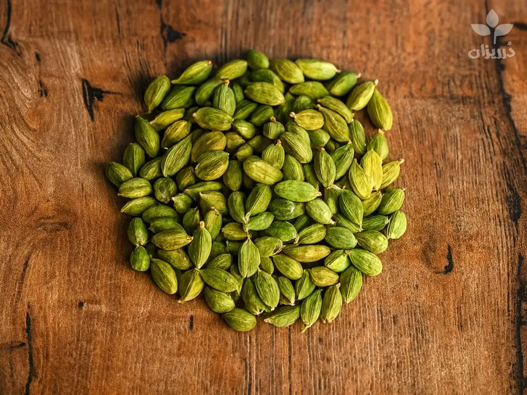 خرید هل تازه 