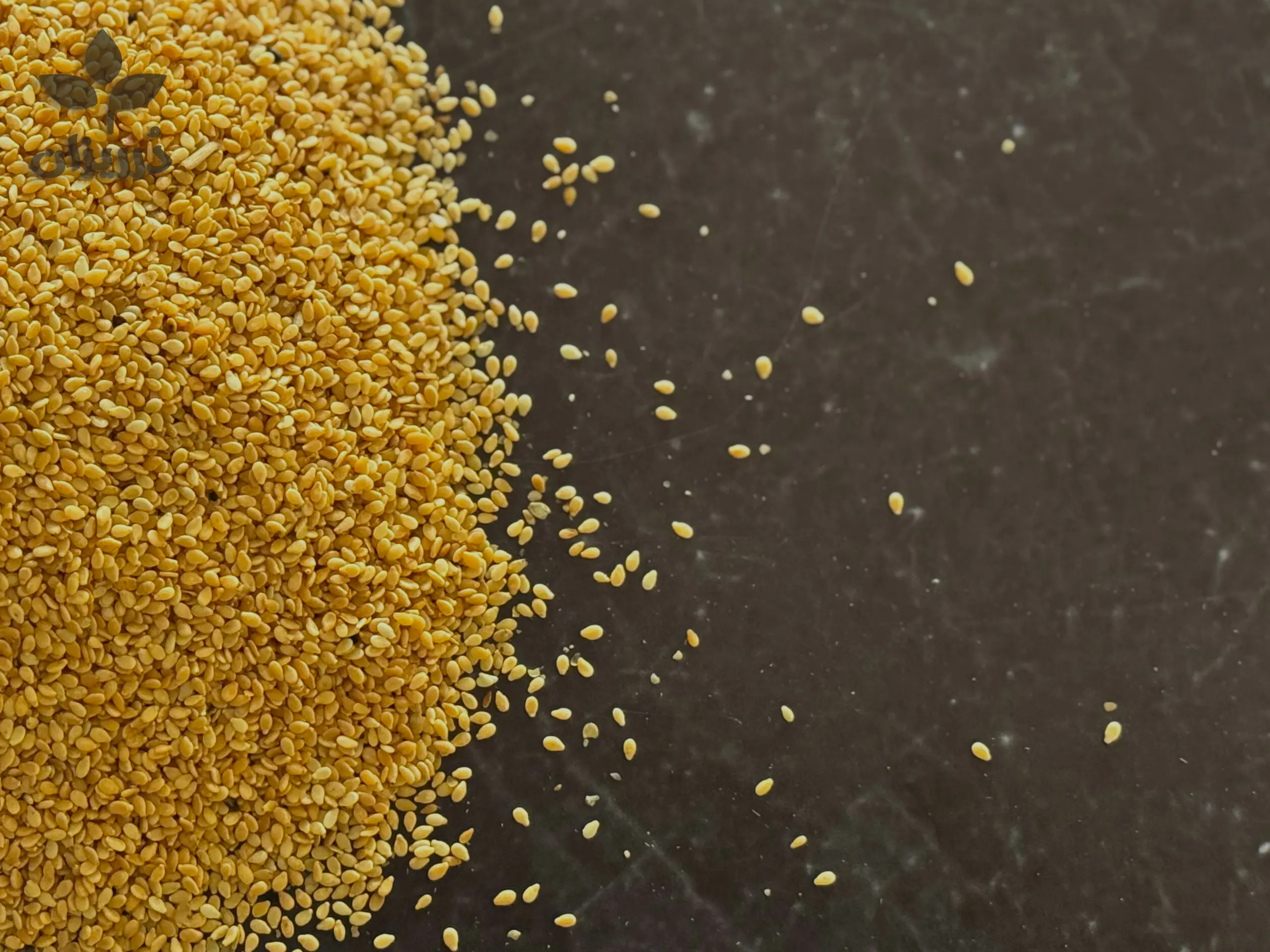 قیمت کنجد ارده‌گیری