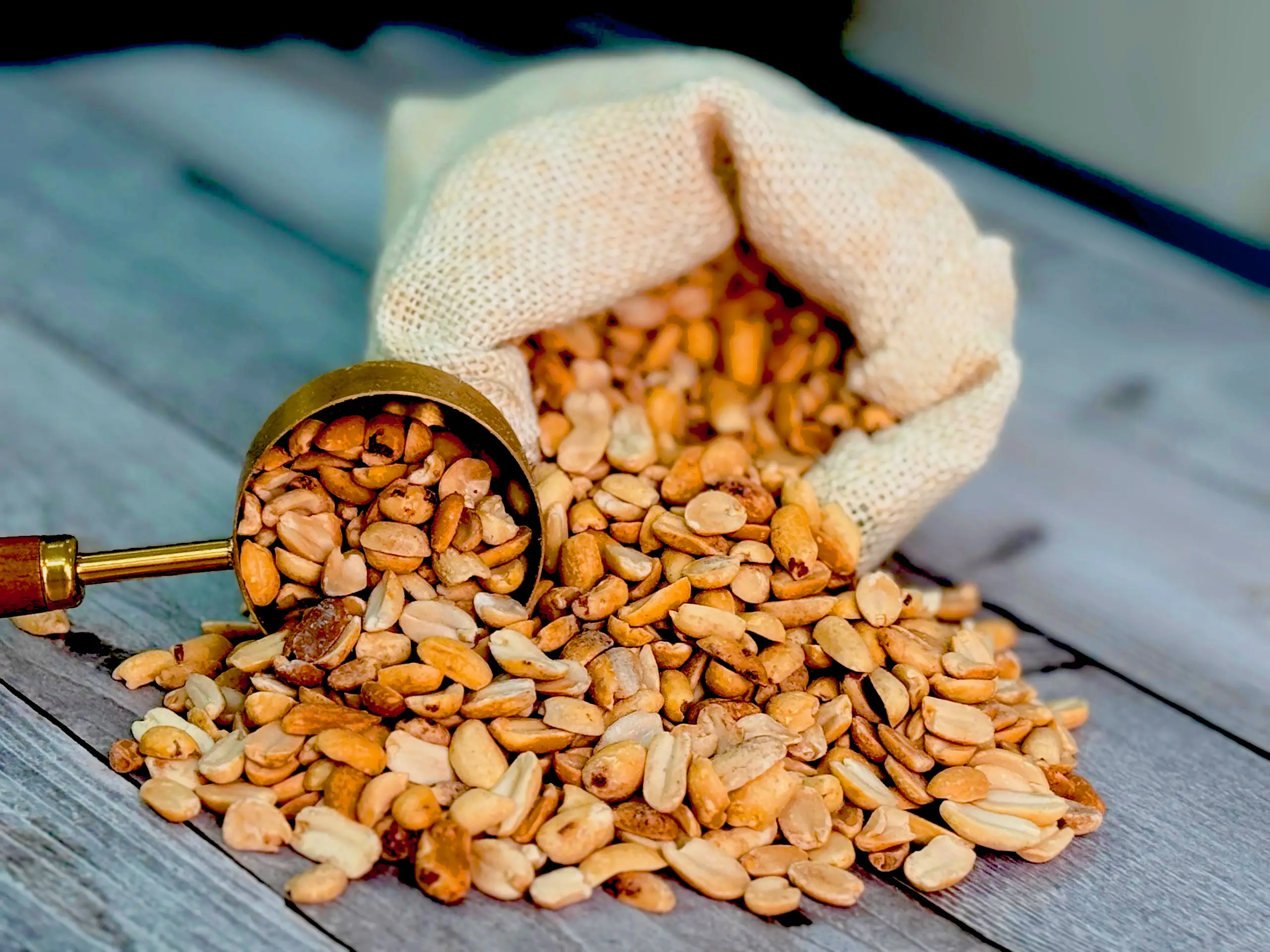 بادام زمینی