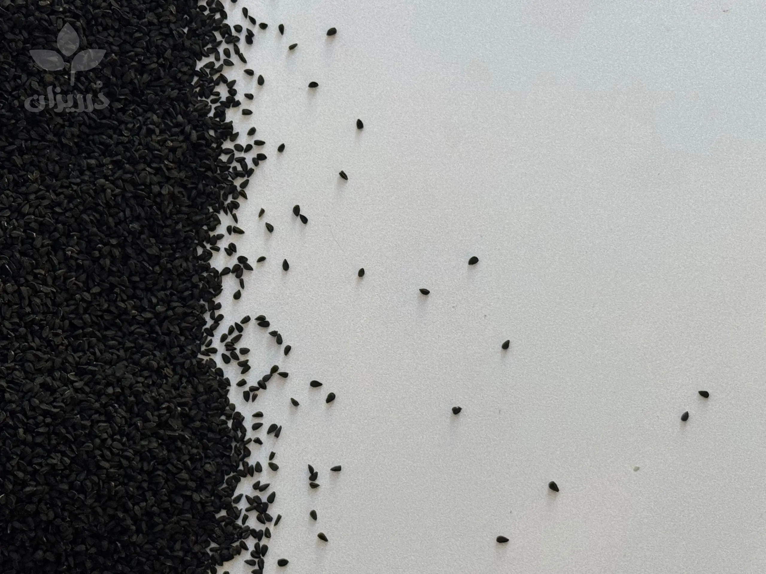 مرکز خرید سیاه دانه در تهران