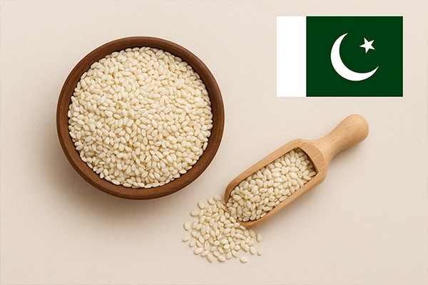 قیمت و خرید کنجد مخصوص روغن گیری