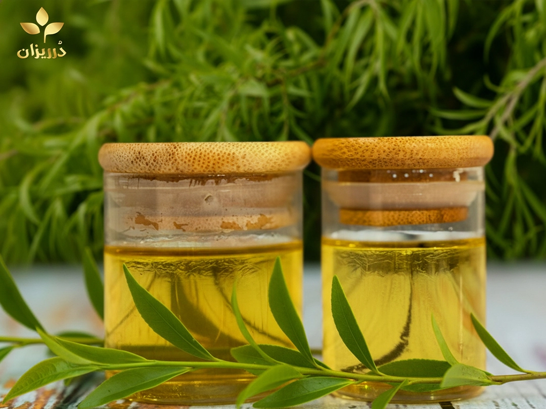 خواص روغن درخت چای برای پوست و مو