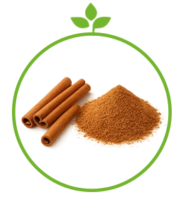  عکس تصویری از دارچین