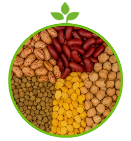  عکس تصویری از حبوبات