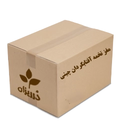  عکس تصویری از مغز تخمه آفتابگردان چینی کارتن 25 کیلویی 