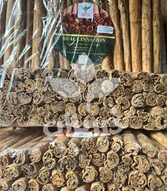  عکس تصویری از دارچین سیلان