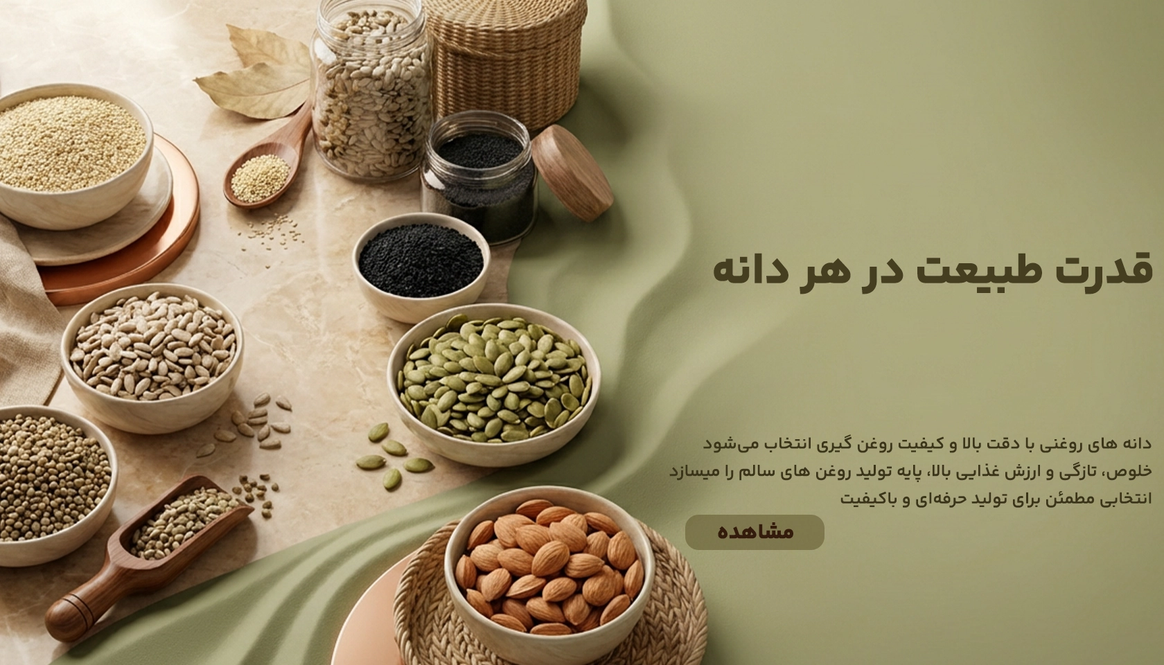 عکس دانه‌های روغنی