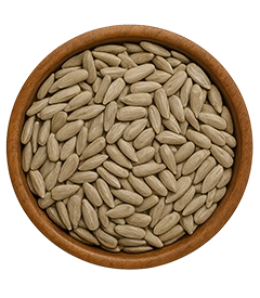  عکس تصویری کوچک از